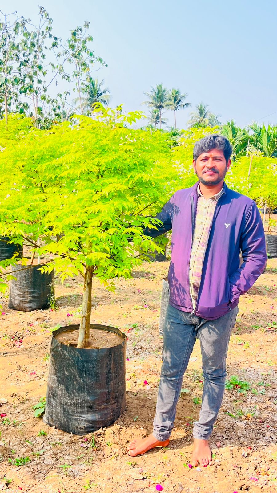 Wholesale Plant Supply